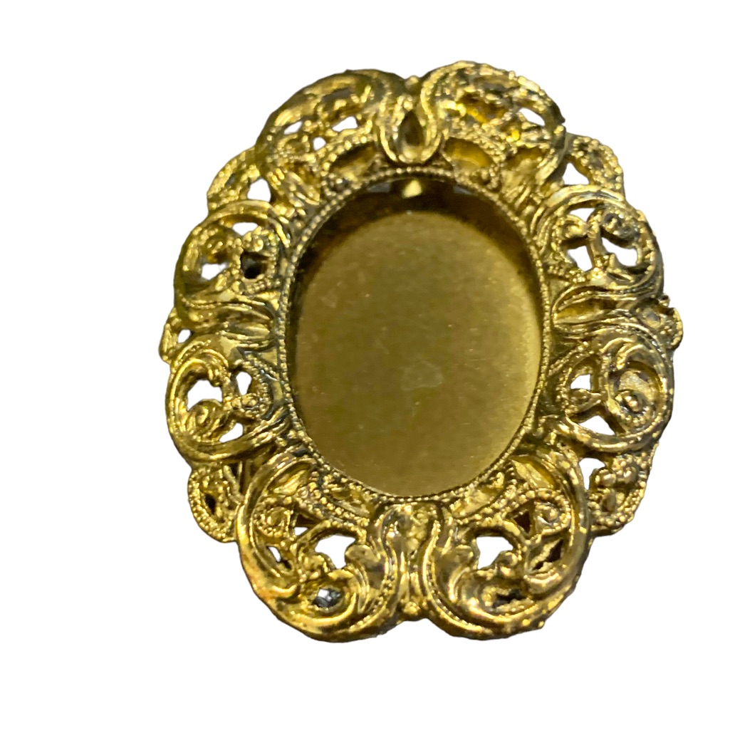 Vintage Gold Tone Roc Picture Brooch 12$